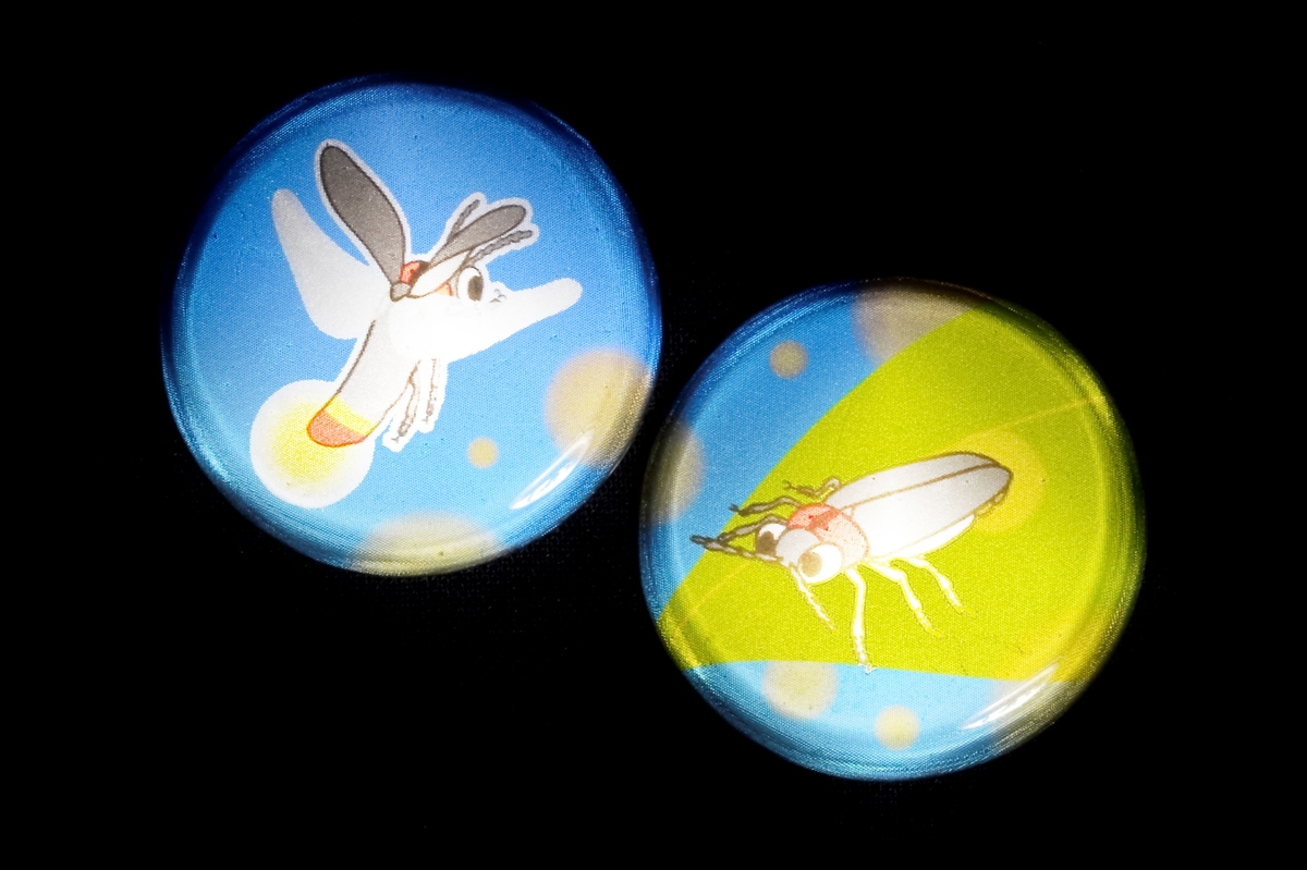 生物園オリジナル】反射で光る！ホタル缶バッジ 2個セット | 生物園